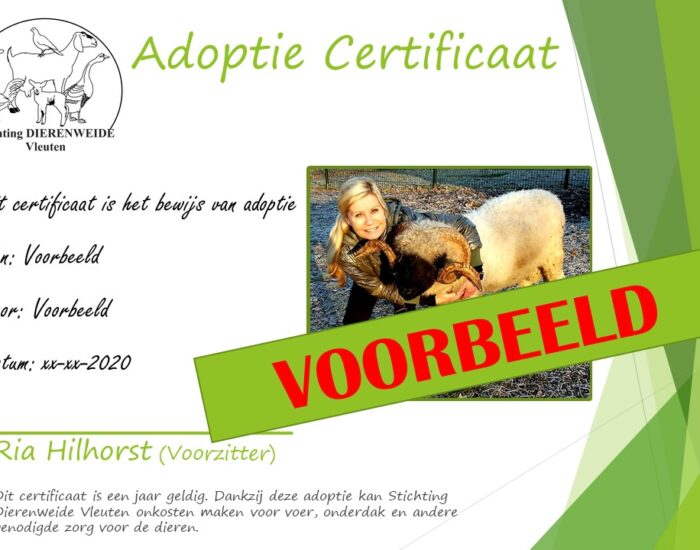 Adoptiecertificaat nieuw VOORBEELD Adoptiecertificaat nieuw VOORBEELD