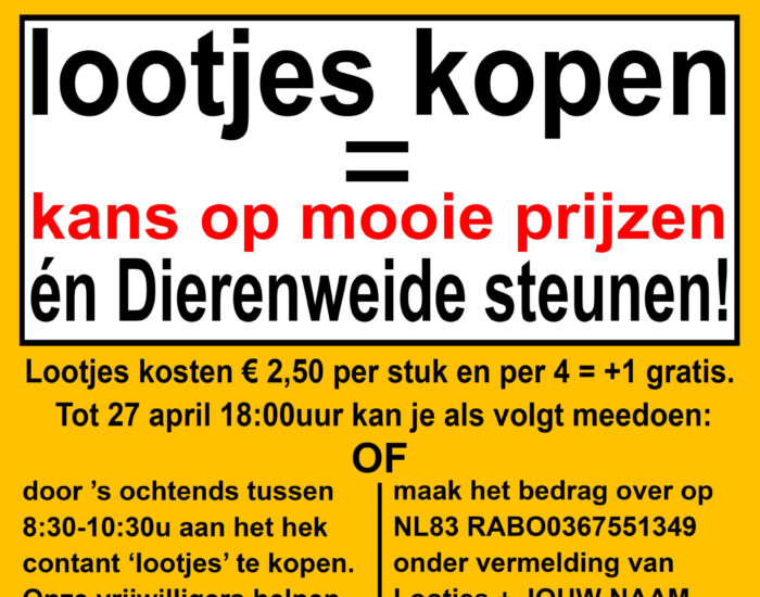 Poster A3 Koningsdag Loterij 2021 Poster A3 Koningsdag Loterij 2021