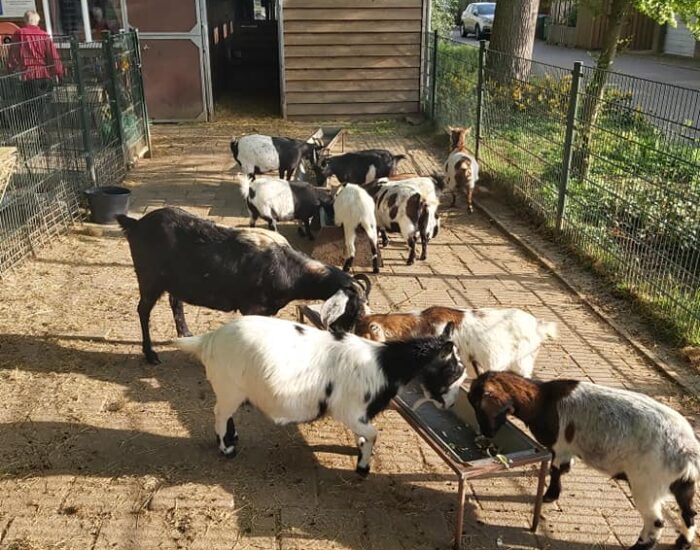 eten eten