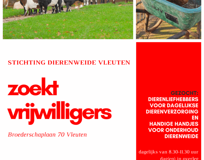 flyer DW A5 vrijwilligers gezocht flyer DW A5 vrijwilligers gezocht